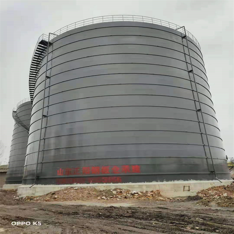 宁津3万吨大型钢板库