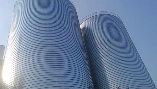 宁津2座混凝土高架卷板仓